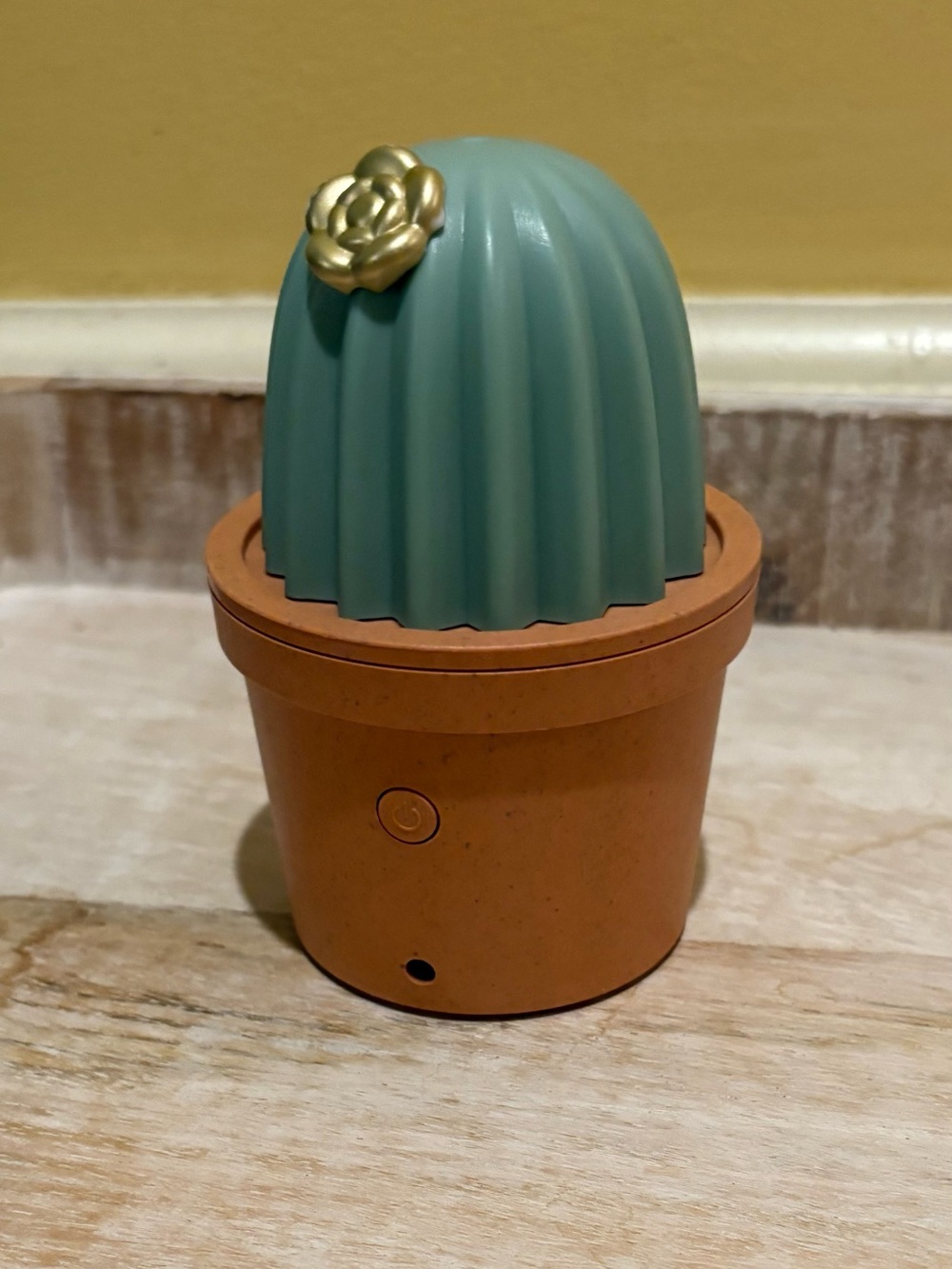 Cactus Diffuser